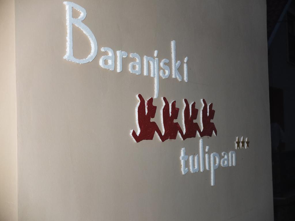 Country House Baranjski Tulipan Draž エクステリア 写真