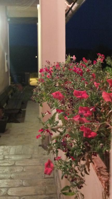 Country House Baranjski Tulipan Draž エクステリア 写真